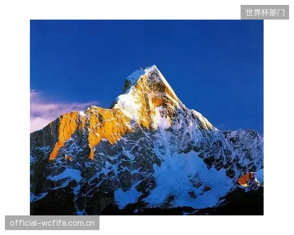 四姑娘山公布的有偿救援费用（每人次超3000元）显示，数字化自救手段可为个人规避99%的潜在救援开支